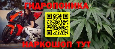 молекула духа Коммунар
