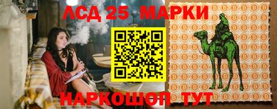 молекула духа Коммунар
